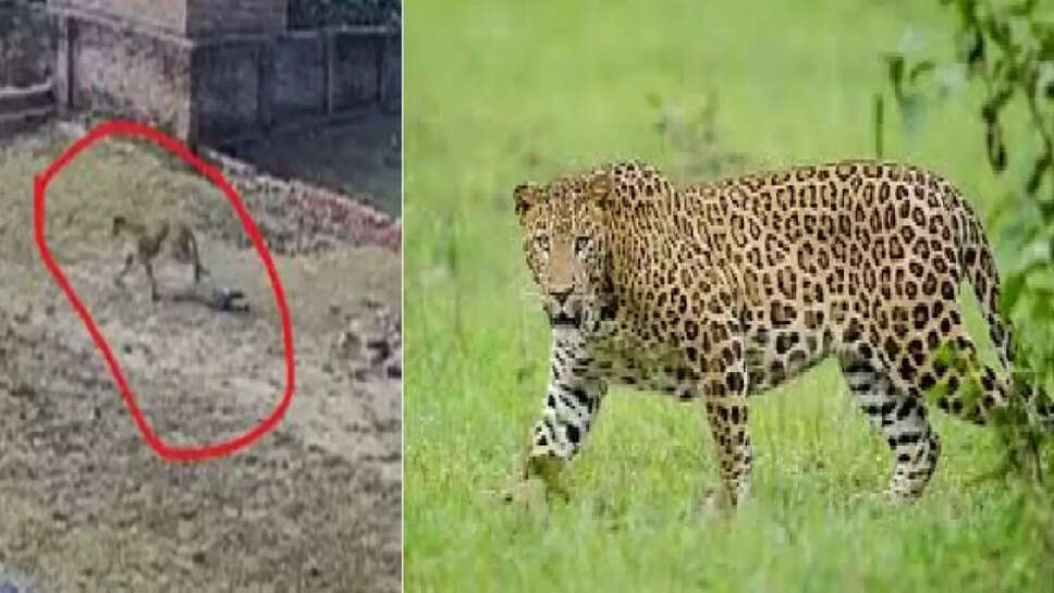 tanduwa