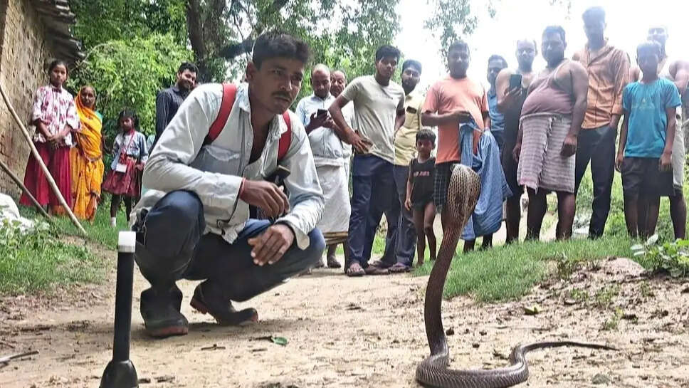 नागपंचमी