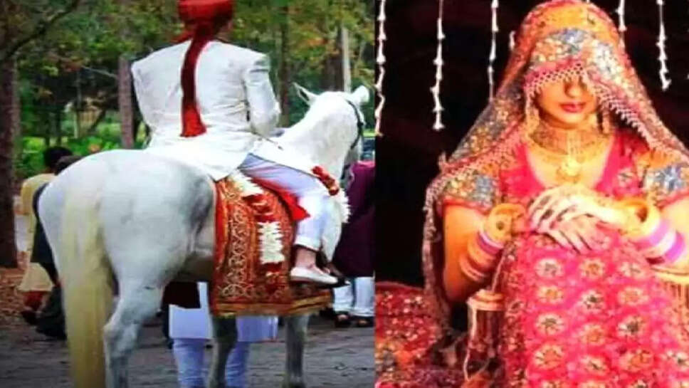 dulha 