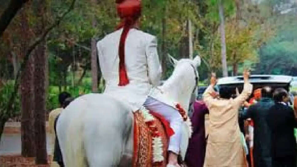 dulha 