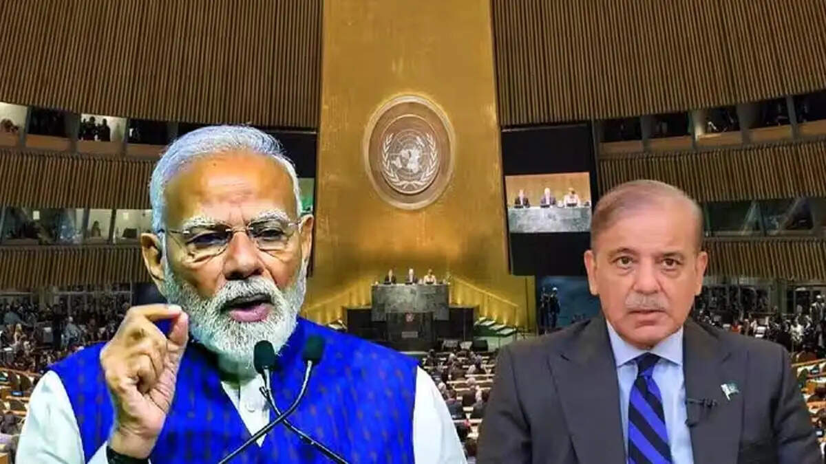 UNSC में भारत की दावेदारी से फिर घबराया पाकिस्तान, शहबाज शरीफ के दूत ने यूएन में जताया डर