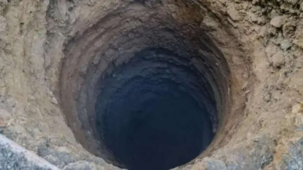 u.p