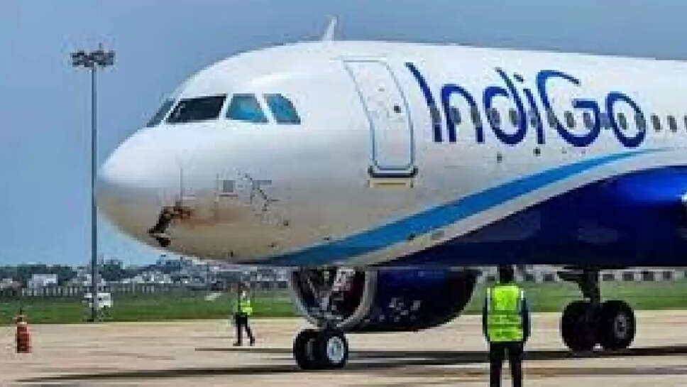 indigo
