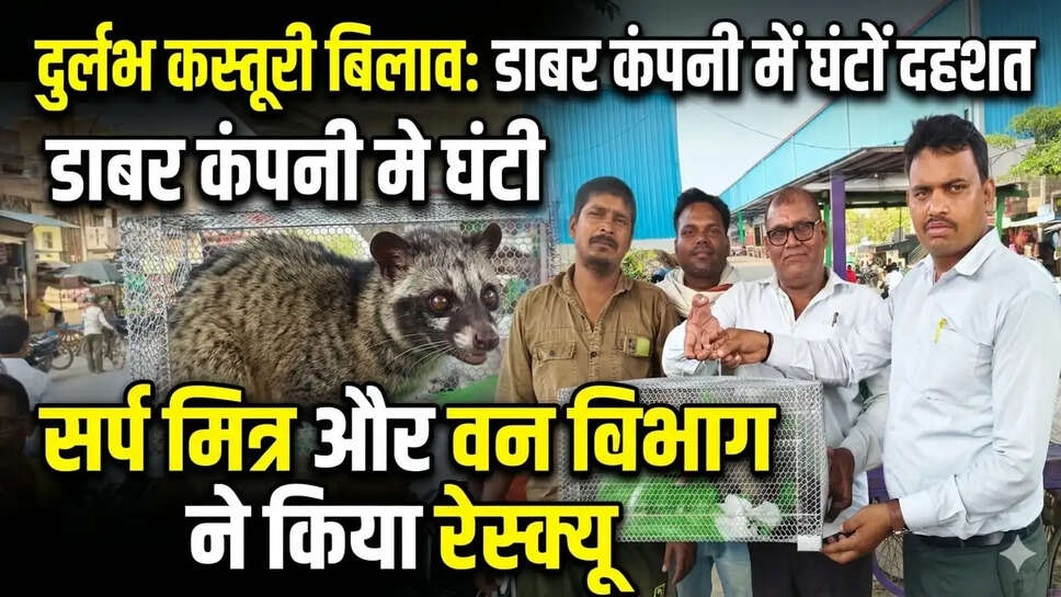 जानवर का रेस्क्यू 