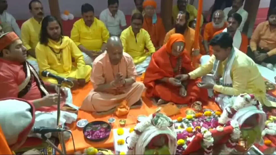 Yogi