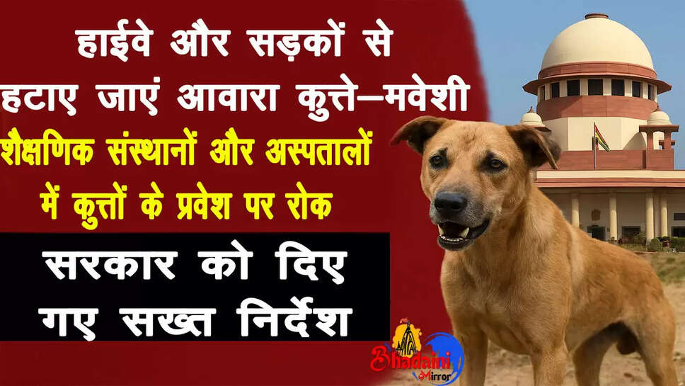 supreme-court-orders-to-remove-stray-dogs-and-cattle-from-highways