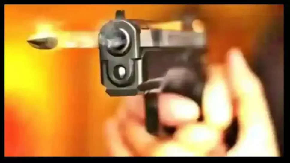 Gun