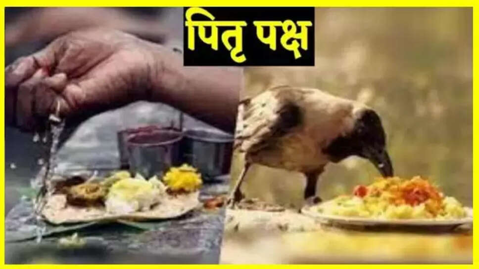 Pitru