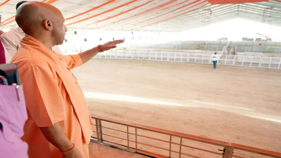 yogi