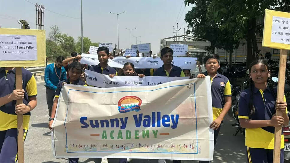 sunny valley