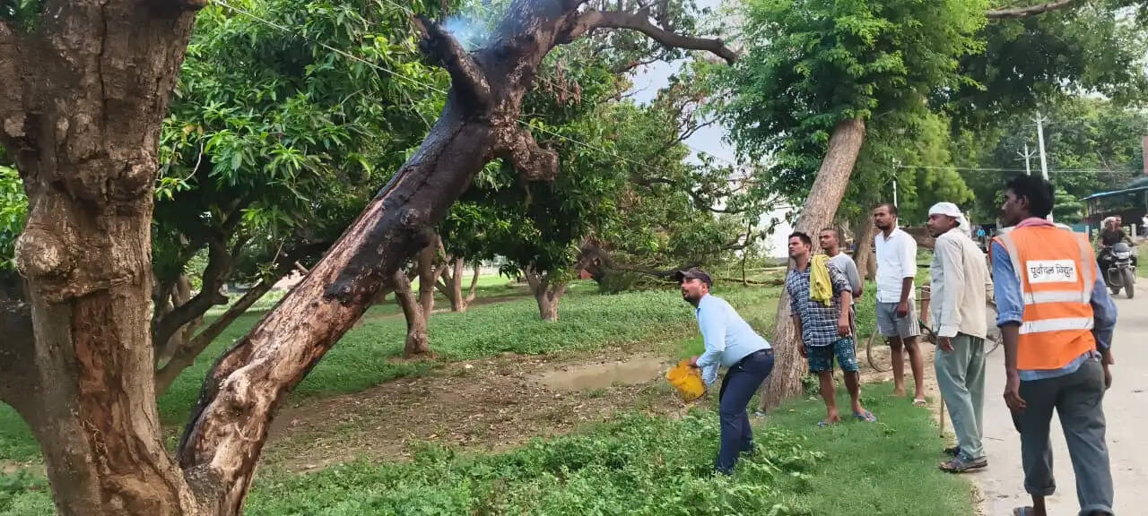 पेड़ में लगी आग