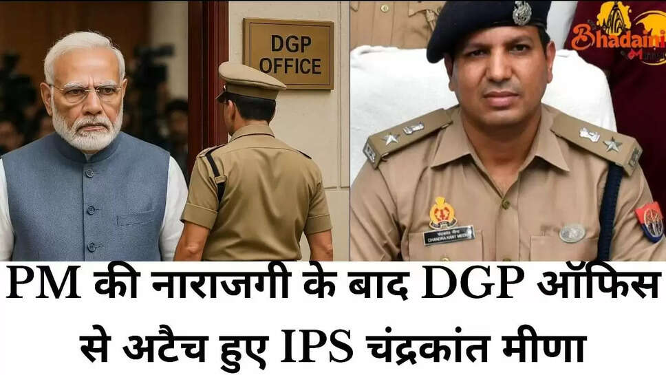 IPS news