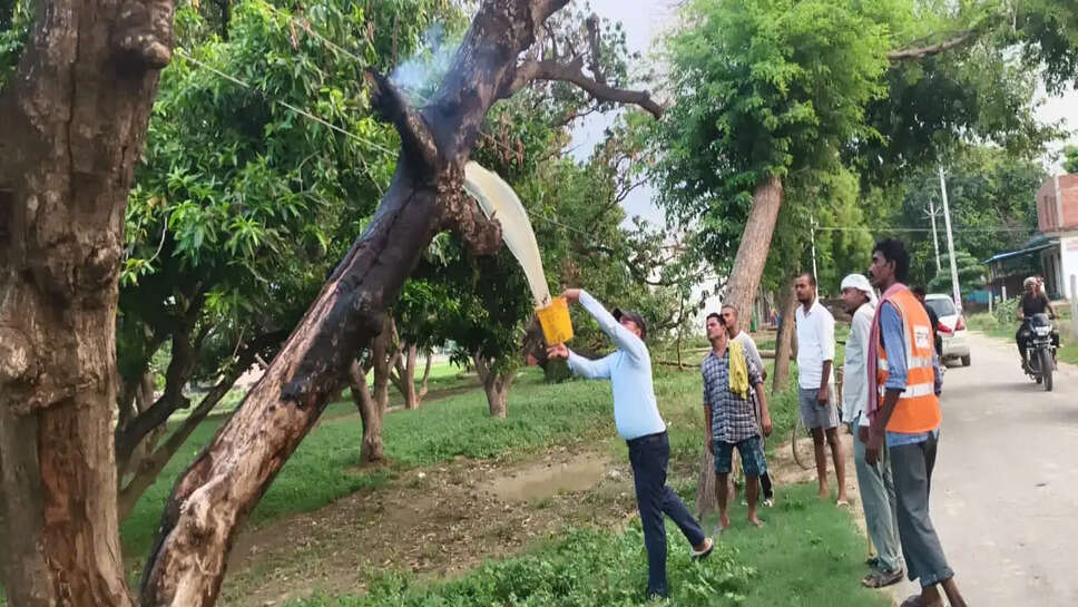 पेड़ में लगी आग