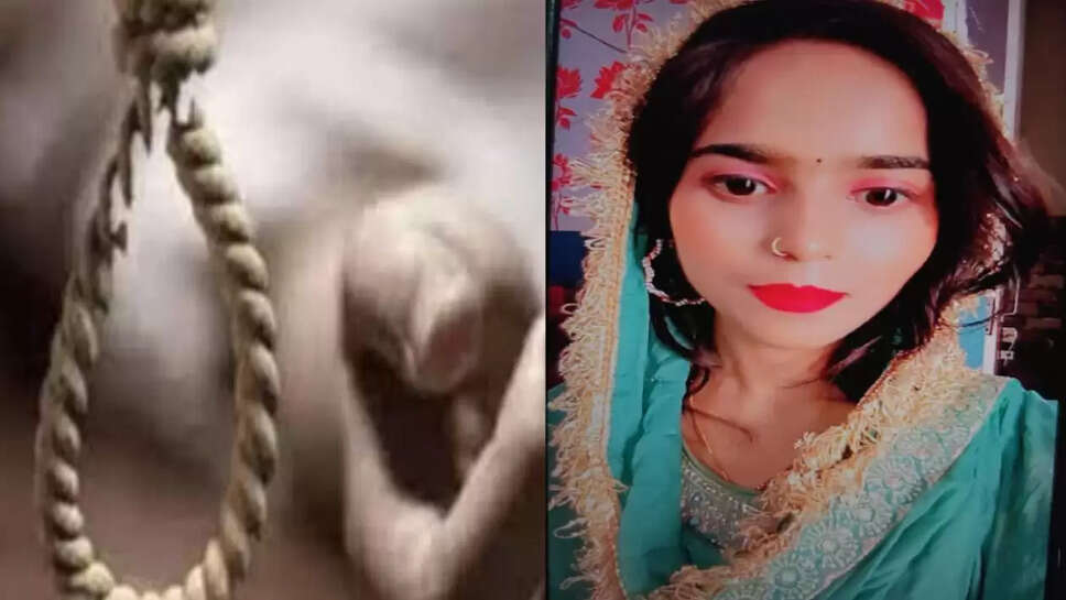 fansi 