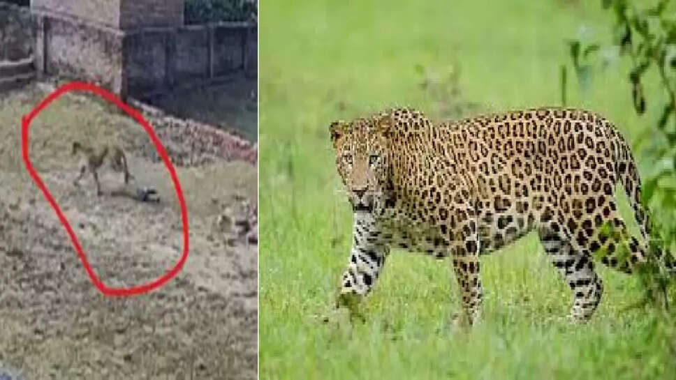 tanduwa