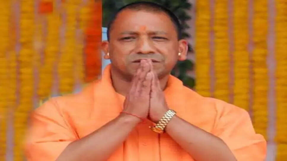 Yogi