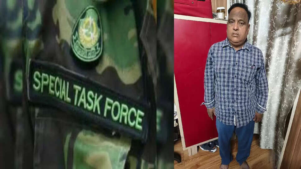 stf