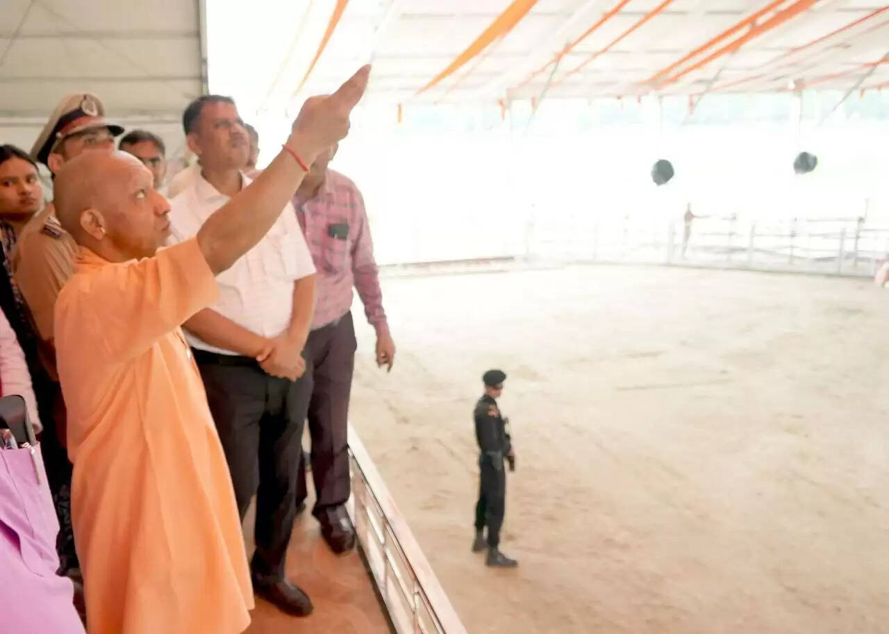 yogi