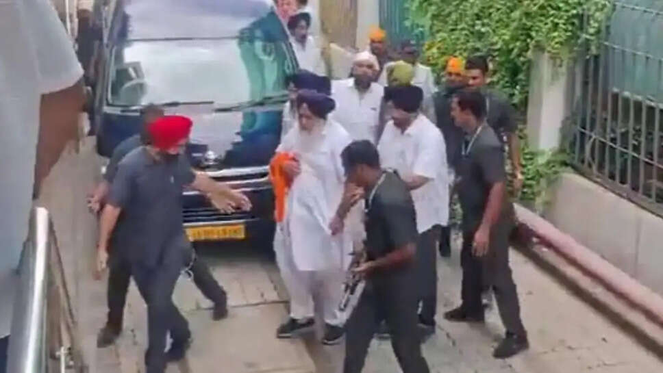 Akali dal