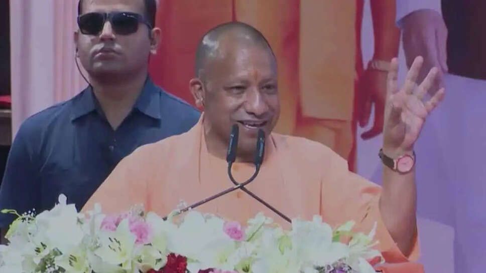 yogi