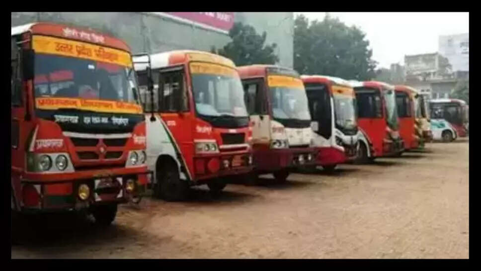 Bus