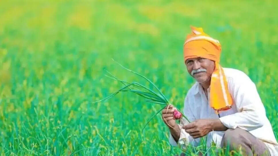 kisan