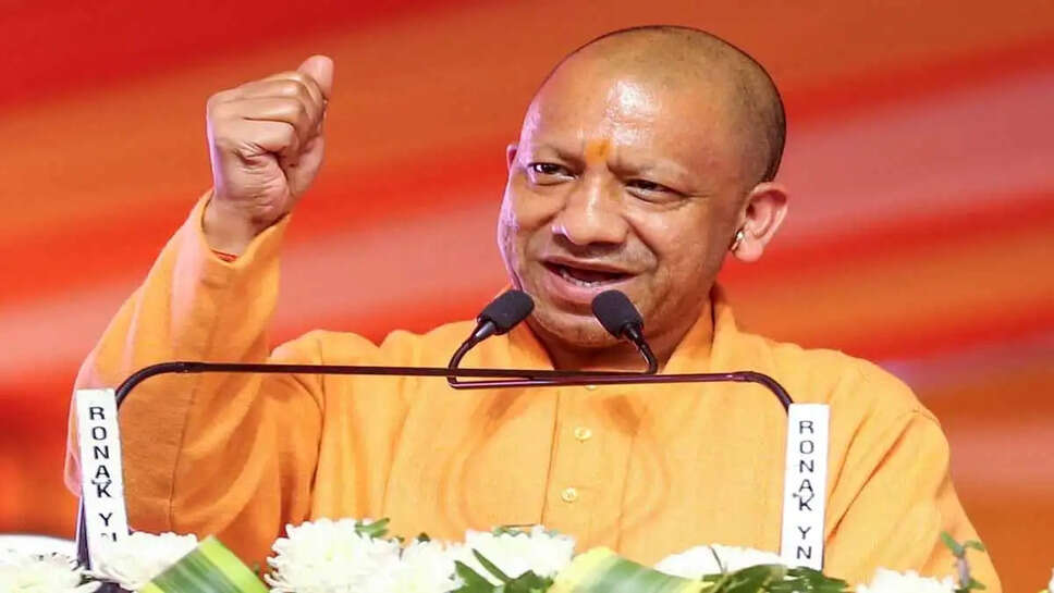 yogi