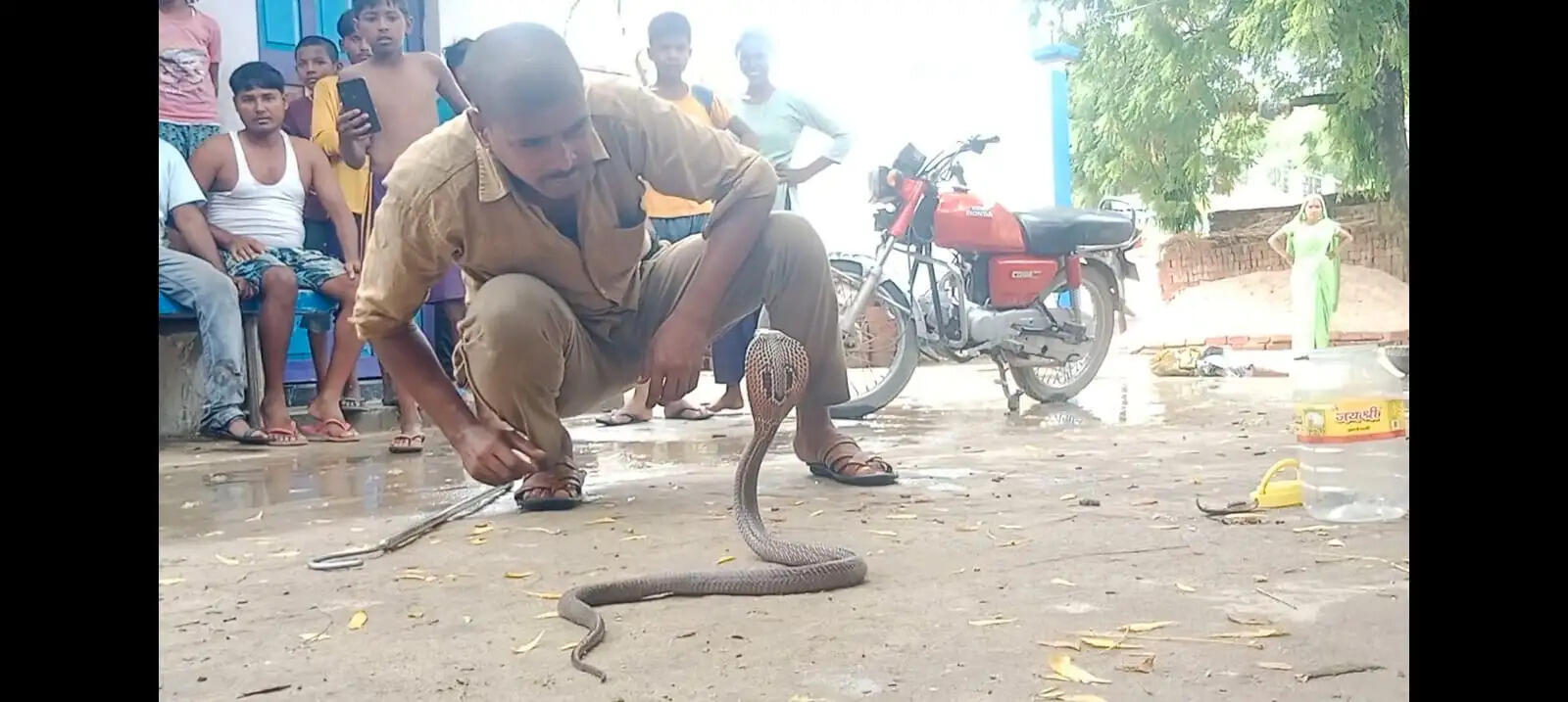 सर्प मित्र