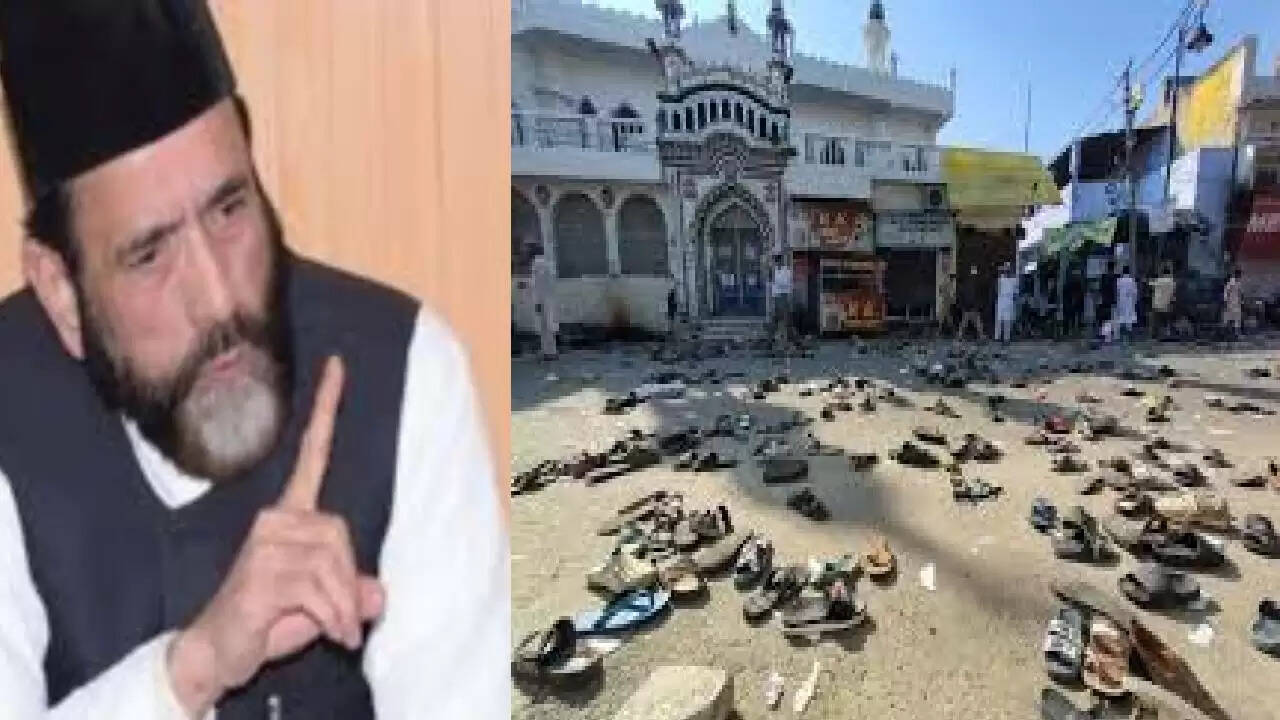 Bareli hinsa