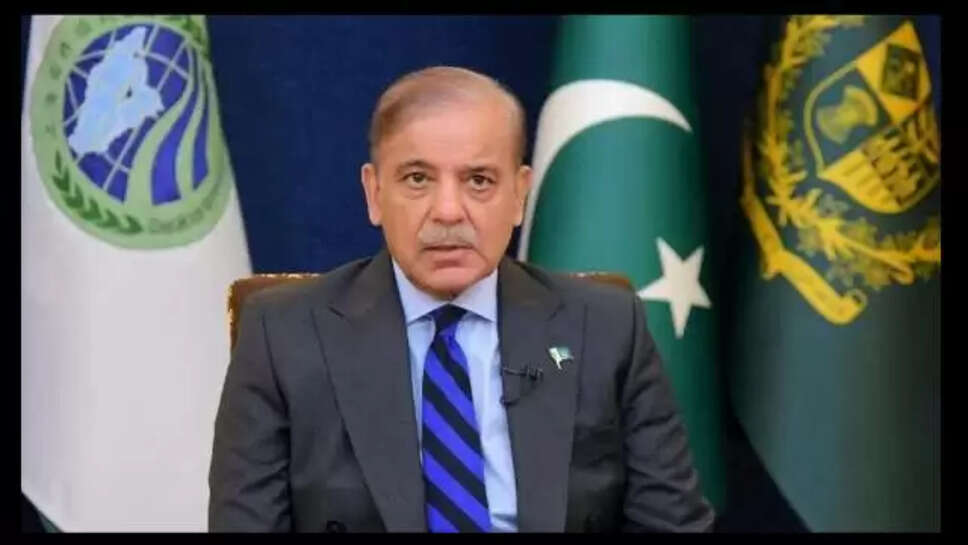 Sahbaj Sareef