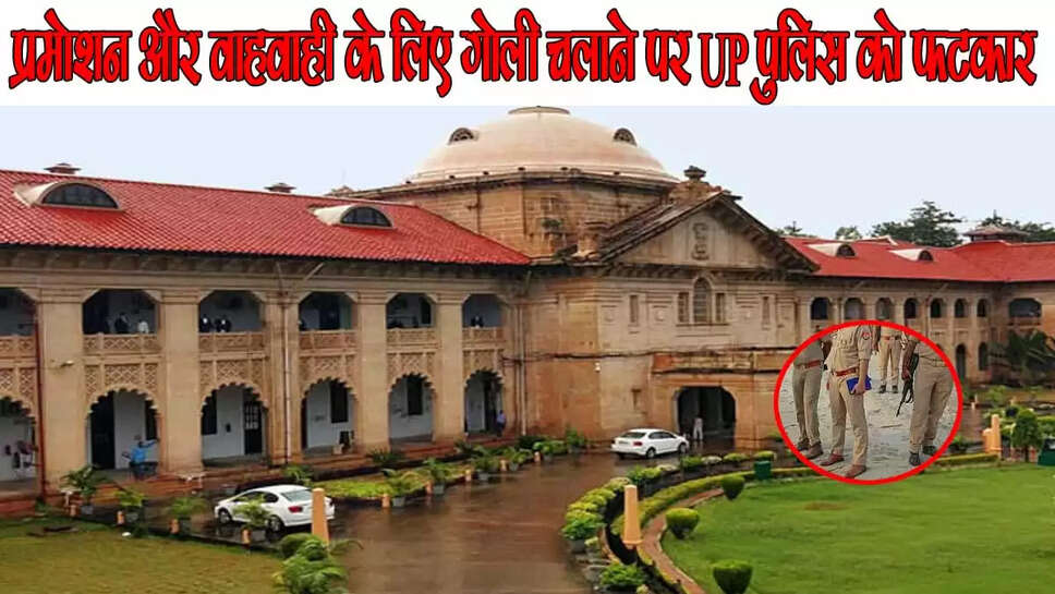 हाई कोर्ट 