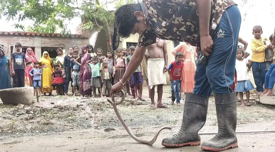 सर्प मित्र 