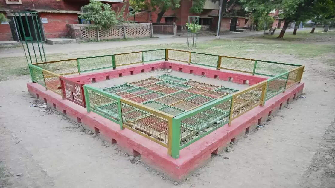 bareka 