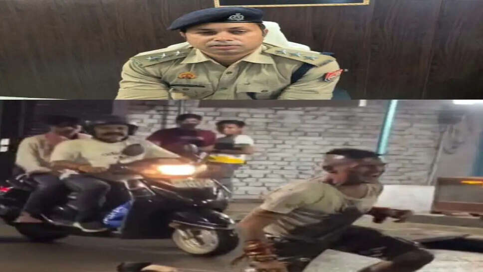 ed