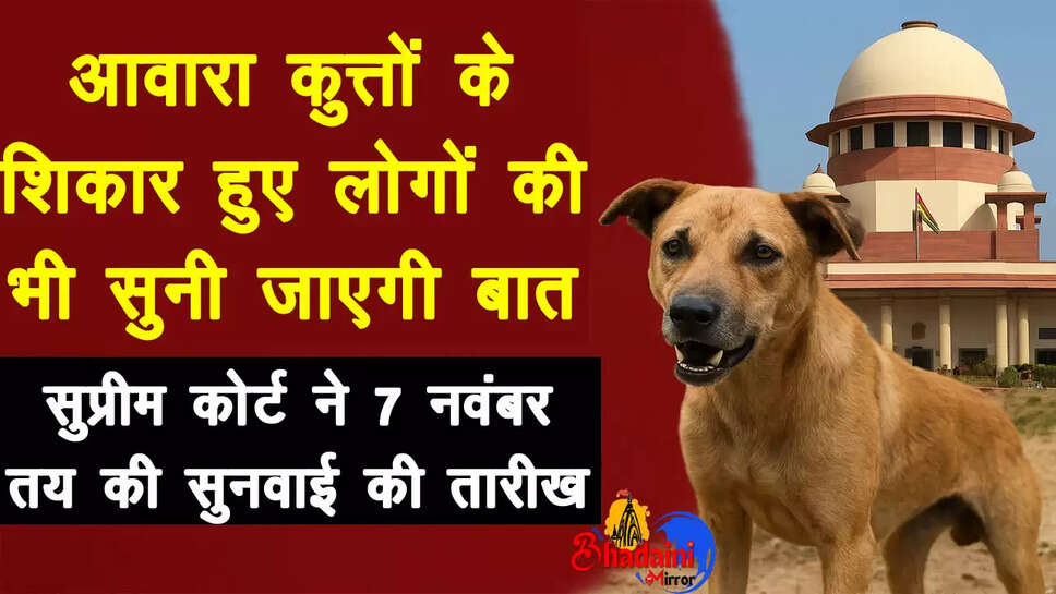 supreme-court-stray-dogs-hearing-7-november 