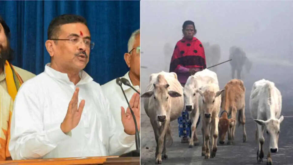 CM bangal