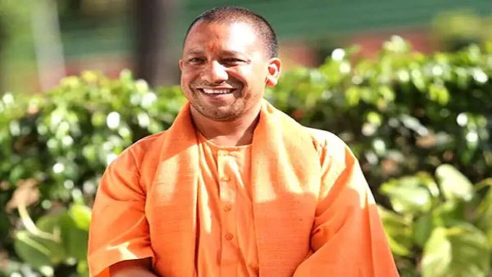 yogi