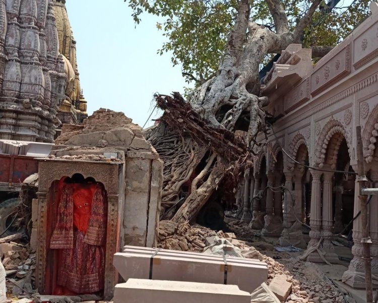 श्री काशी विश्वनाथ मंदिर के CEO ने दिए पौराणिक अक्षयवट वृक्ष प्रकरण में जांच के आदेश, संतों ने की कार्रवाई की मांग...