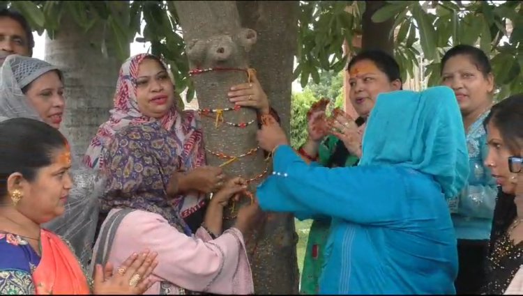 मुस्लिम महिलाओं ने वृक्ष को राखी बांधकर लिया पर्यावरण संरक्षण का संकल्प...