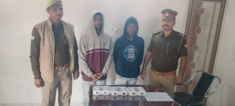 दिनदहाड़े चोरी करने वाले दो गिरफ्तार, तीन लाख रुपए मूल्य के आभूषण बरामद.....