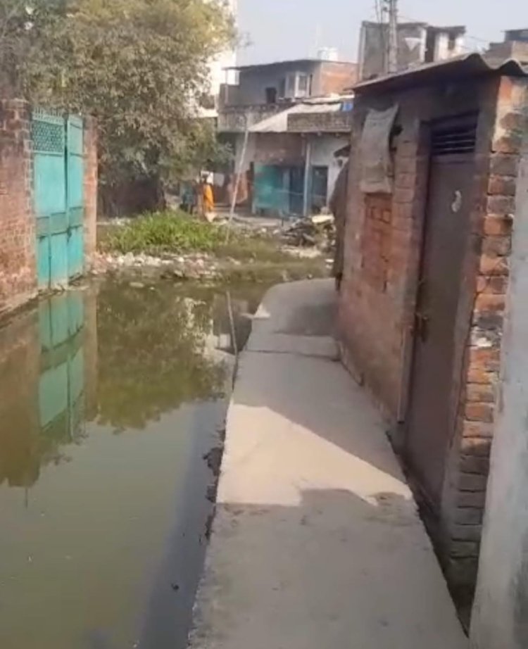 गली में भारी जल भराव का वीडियो भेजकर डीएम से अमिताभ ठाकुर ने की कार्रवाई की मांग...