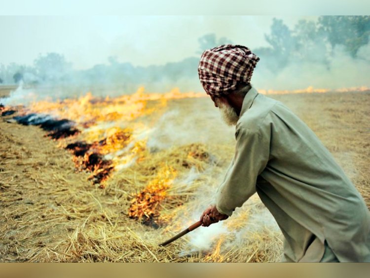 पराली जलाने पर केंद्र का सख्त रुख,  देना होगा इतने का जुर्माना