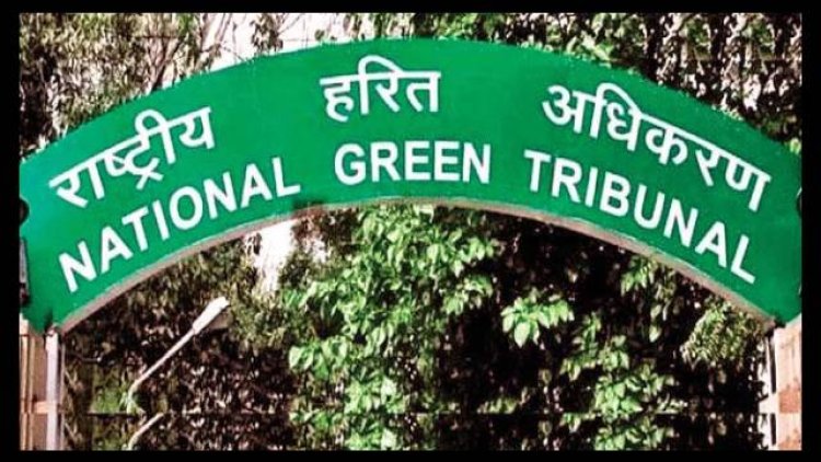 NGT ने गंगा नदी की स्वच्छता को लेकर DM से किया सवाल? क्या गंगा आचमन और स्नान योग्य हैं? 